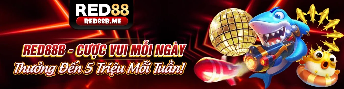 Trách nhiệm xã hội của 988bet chính thức